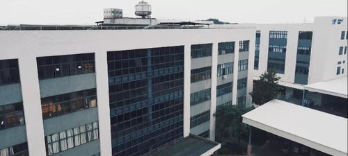 官宣 向上吧 組合首位男咖,來啦